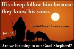 Sheep Know His Voice
