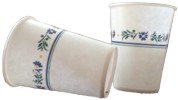 Paper Cup Exercise for Reaction to Ministry Gone Wrong