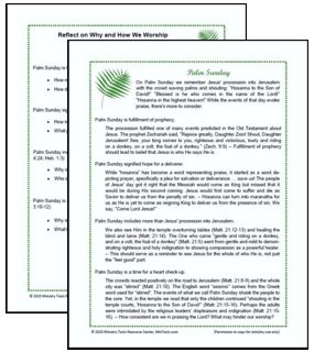 Holiday Reflections for Palm Sunday