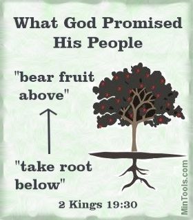 Roots Below, Fruit Above Promised by Our God of New Beginnings
